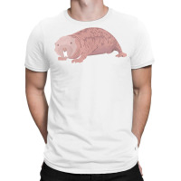 Womens Naked Mole Rat Gift Funny Sand Puppy Hairless Rodent Vermin V N T-shirt | Artistshot