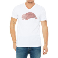 Womens Naked Mole Rat Gift Funny Sand Puppy Hairless Rodent Vermin V N V-neck Tee | Artistshot