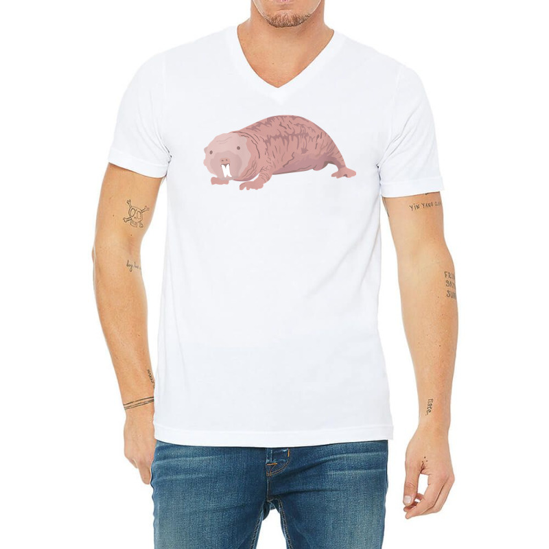 Womens Naked Mole Rat Gift Funny Sand Puppy Hairless Rodent Vermin V N V-neck Tee | Artistshot