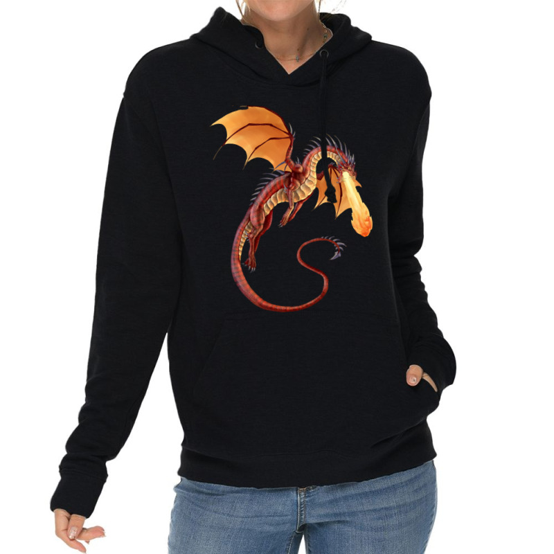 Fire Dragon Lightweight Hoodie | Artistshot