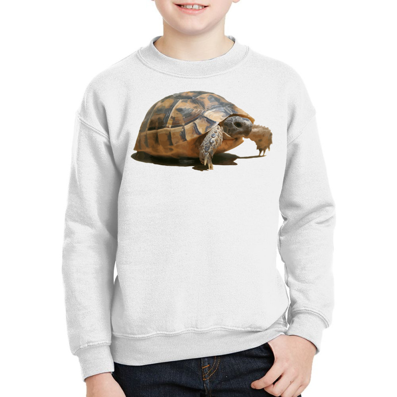 Portrait Of A Young Wild Tortoise Isolated T Shirt Youth Sweatshirt by dubrayhecallezhd | Artistshot