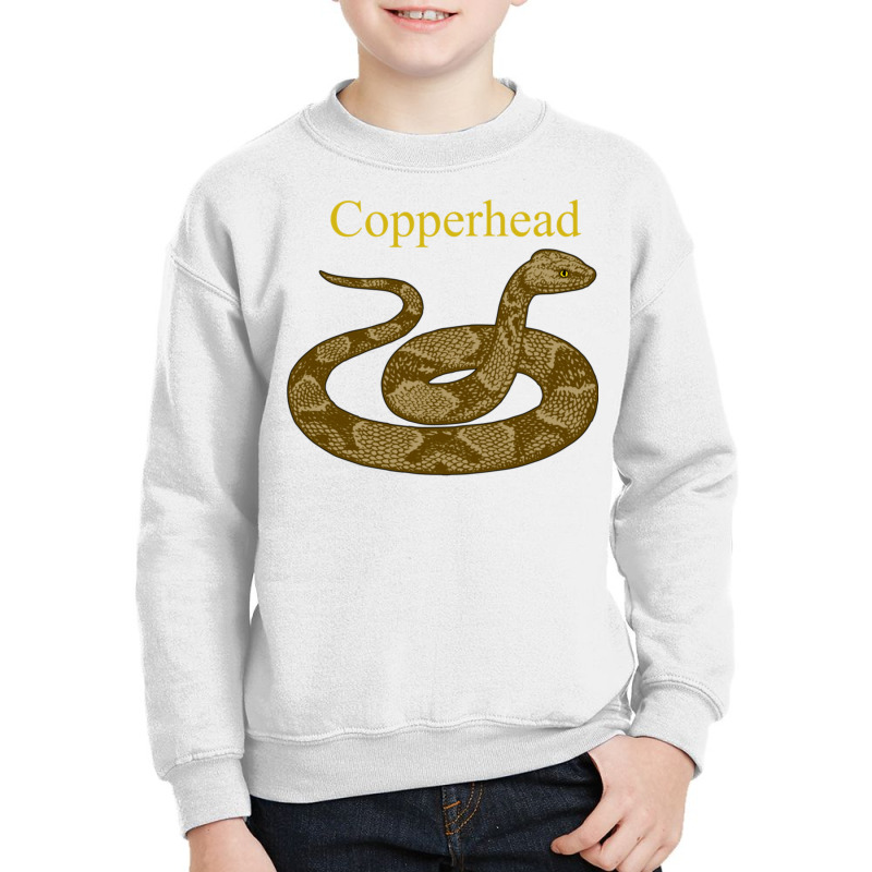 Copperhead Snake Venomous Pit Viper Long Sleeve T Shirt Youth Sweatshirt | Artistshot