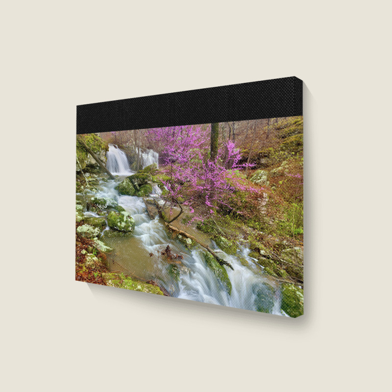 Coward's Hollow Shut Ins Ii Landscape Canvas Print | Artistshot