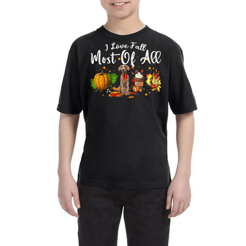 I Love Fall Most Of All Pumpkin Weimaraner Autumn Season T Shirt Youth Tee by dubrayhecallezhd | Artistshot