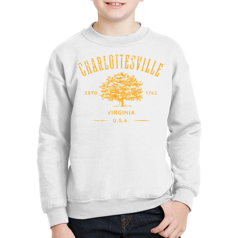 Charlottesville Virginia Usa Vintage Distressed Style Design T Shirt Youth Sweatshirt | Artistshot