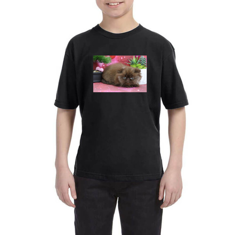 Chocolate Persian Kitten Youth Tee | Artistshot