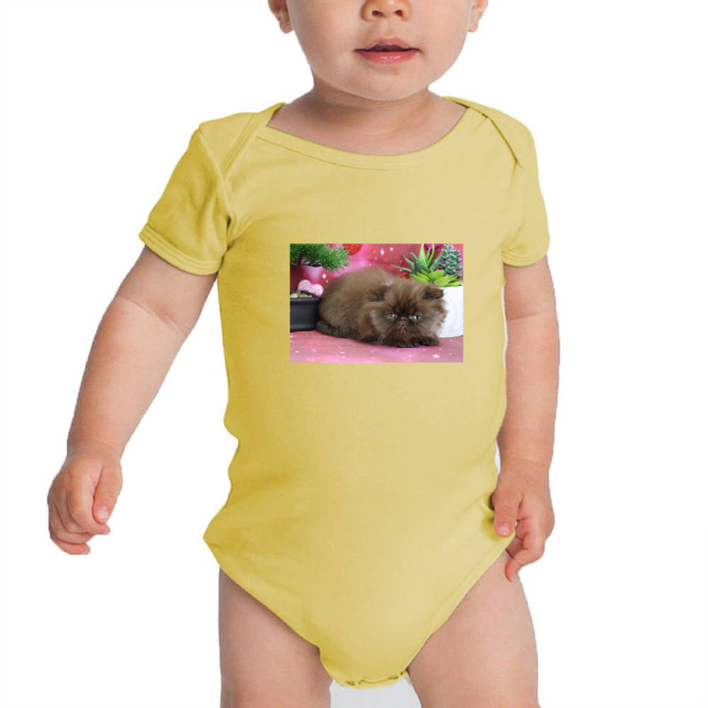 Chocolate Persian Kitten Baby Bodysuit | Artistshot