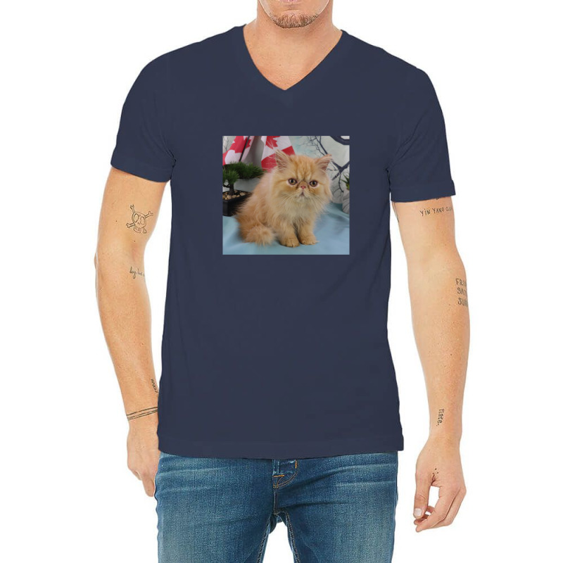 Red Tabby Persian V-neck Tee | Artistshot