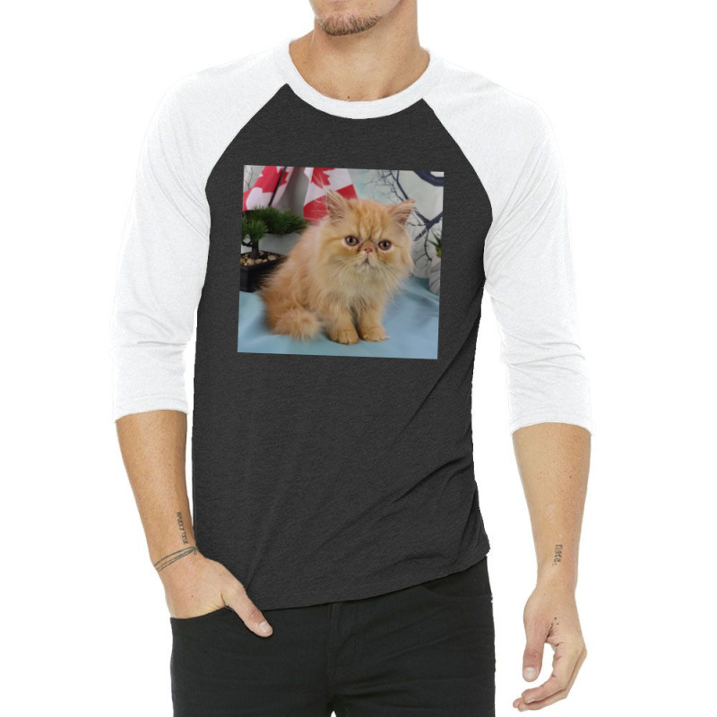 Red Tabby Persian 3/4 Sleeve Shirt | Artistshot