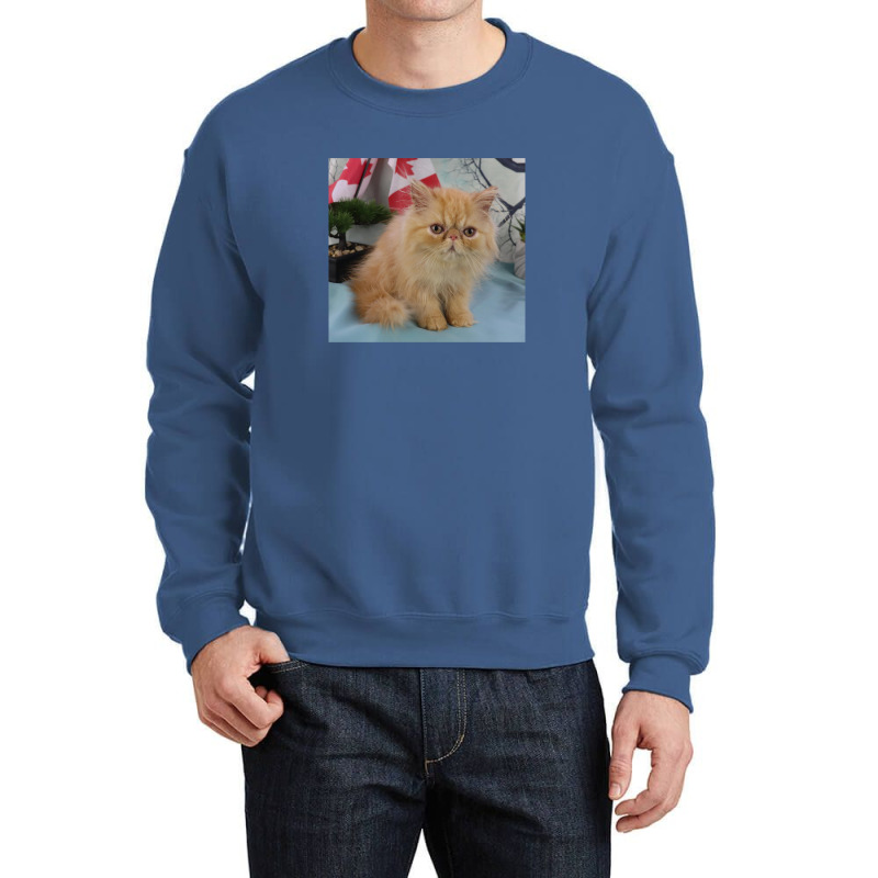 Red Tabby Persian Crewneck Sweatshirt | Artistshot