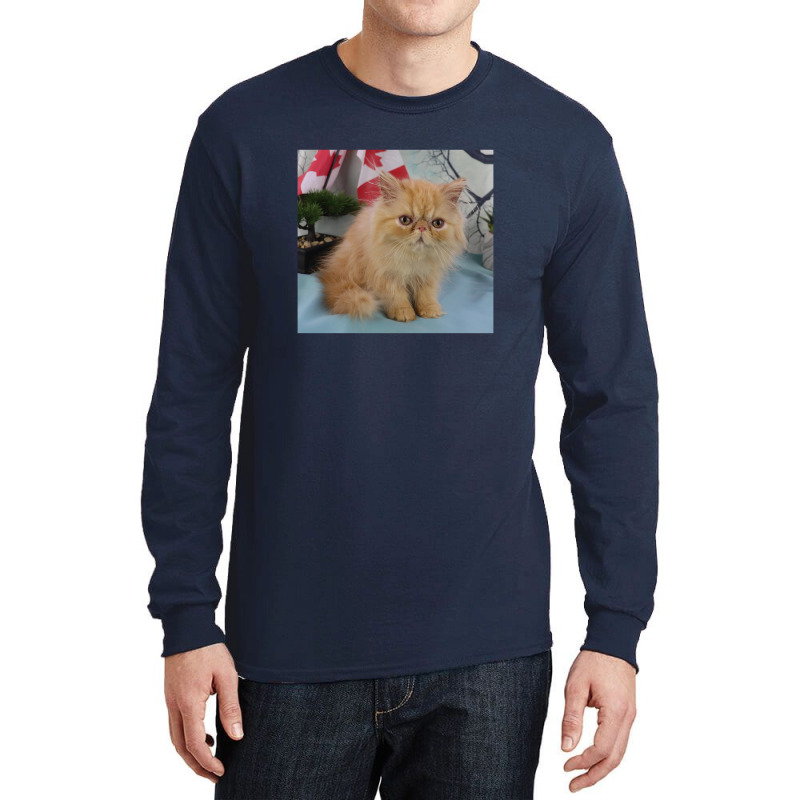 Red Tabby Persian Long Sleeve Shirts | Artistshot