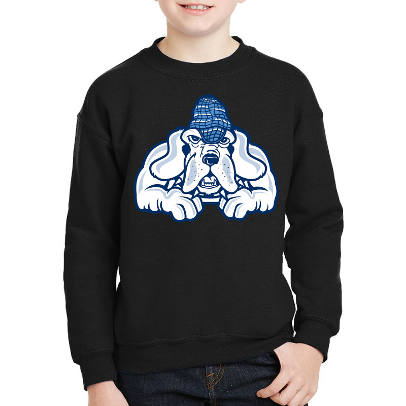 The Bloodhounds John Jay Of Criminal Justice Cap Youth Sweatshirt | Artistshot