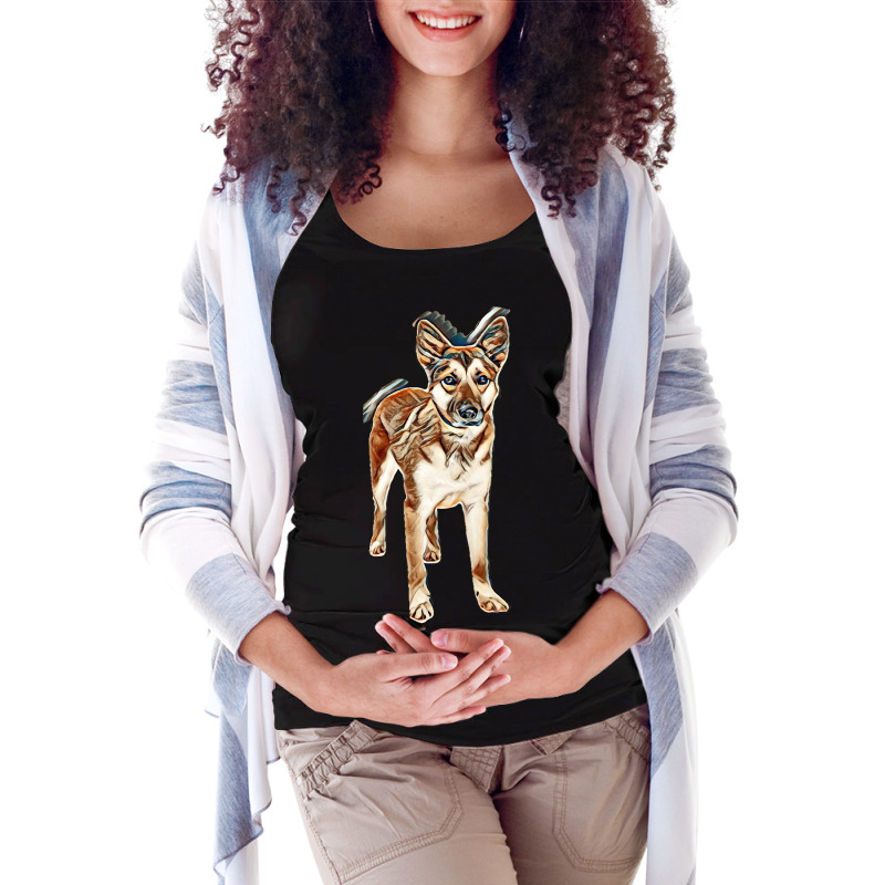 Pretty German Shepherd Crossbreed Dog Standing On White With Sad Expre Maternity Scoop Neck T-shirt by Kemnabi | Artistshot