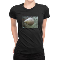 Photo Of Traditional Rice Cooker Ladies Fitted T-shirt | Artistshot