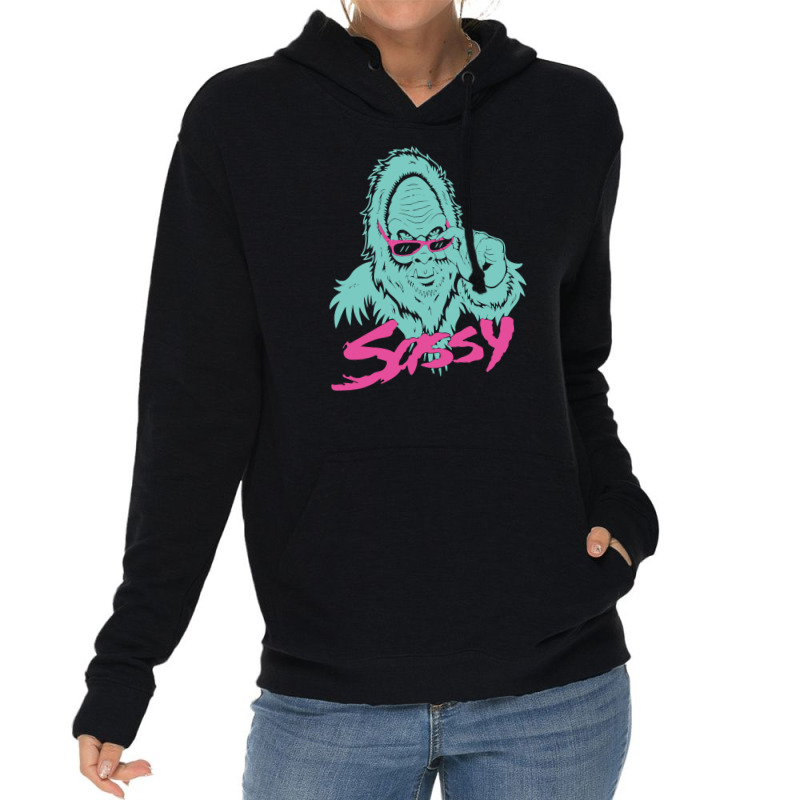 Sassy Monkey Lightweight Hoodie by haydar | Artistshot