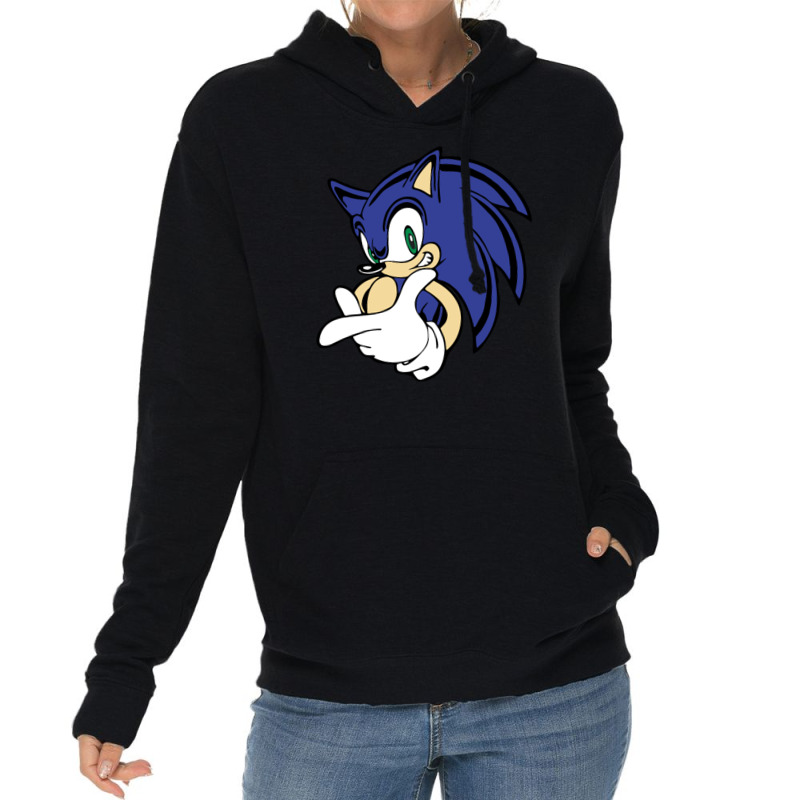 Hedgehog Lightweight Hoodie by haydar | Artistshot