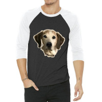 Dog Gawking 3/4 Sleeve Shirt | Artistshot