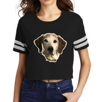 Dog Gawking Scorecard Crop Tee | Artistshot