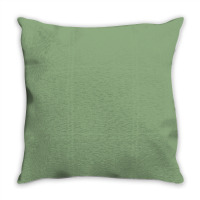 Soldier And Skyline Throw Pillow | Artistshot