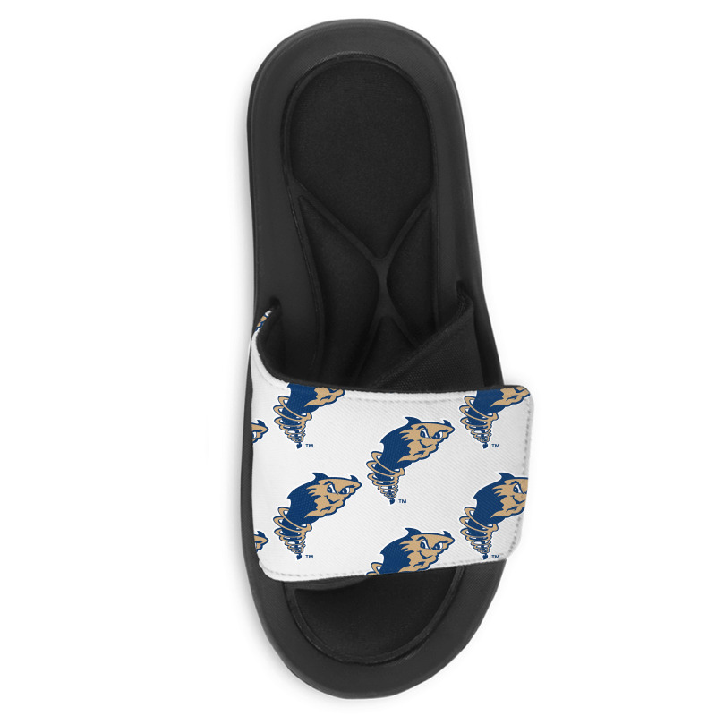 Tri City Dust Devils Slide Sandal | Artistshot