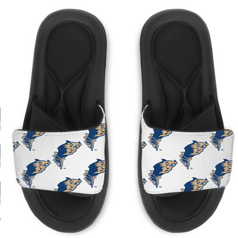 Tri City Dust Devils Slide Sandal | Artistshot