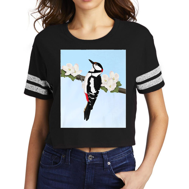 Woodpecker Bird Art Birdlover Birdwatcher Animal Biologist Premium Scorecard Crop Tee by STACYSCHUDEL | Artistshot