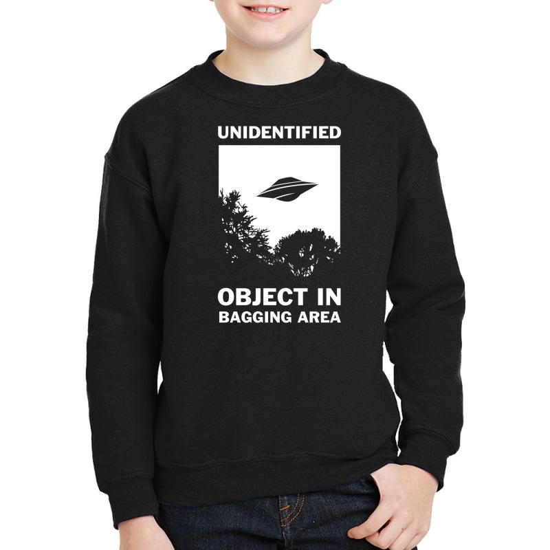 Unidentified Object In Bagging Area Youth Sweatshirt | Artistshot