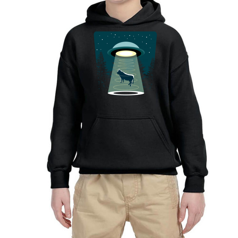 Beware Ufo Youth Hoodie by tshiart | Artistshot