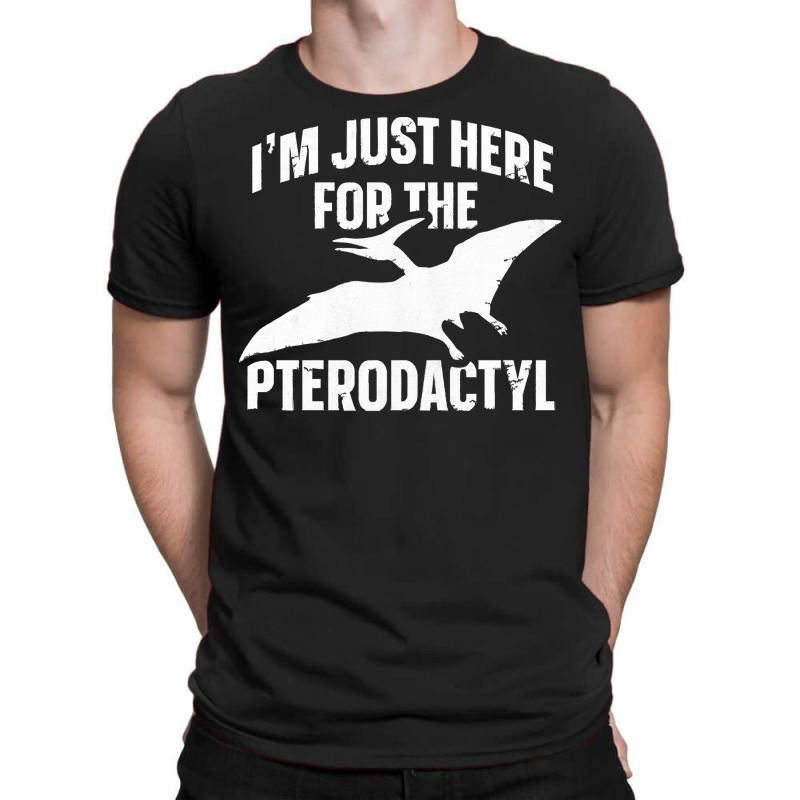 Cool Flying Dinosaur Pterodactyl T  Shirt1554 T-shirt | Artistshot