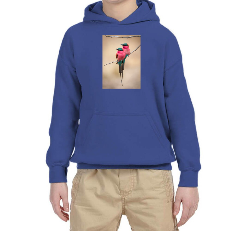 Puffy Bee Eaters Youth Hoodie by cm-arts | Artistshot