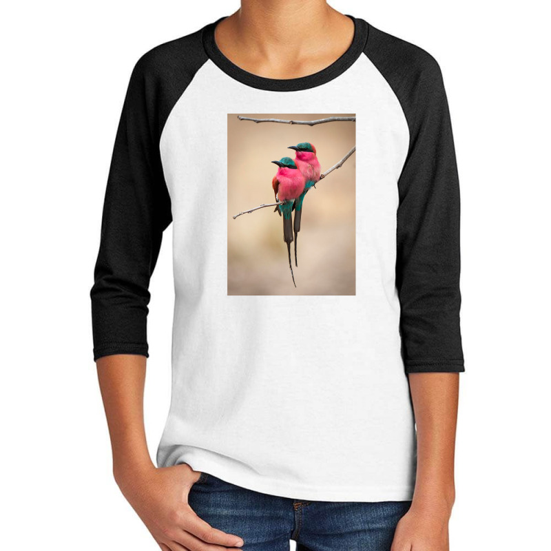 Puffy Bee Eaters Youth 3/4 Sleeve by cm-arts | Artistshot