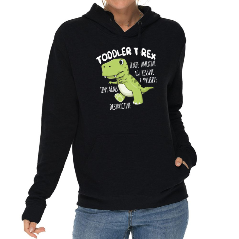 Dinosaur Gift Toddler T-rex Cute Birthday Kids Boys Lightweight Hoodie | Artistshot