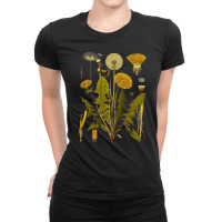 Dandelion Botanical Art, Dandelion Botanical Vintage, Dandelion Botani Ladies Fitted T-shirt | Artistshot