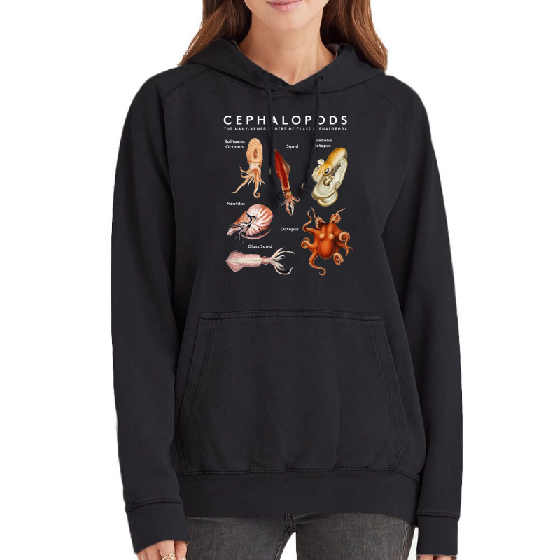 Kinds Of Octupus, The Cephalopod Octopus, Sea Creatures, Kinds Of Octu Vintage Hoodie | Artistshot