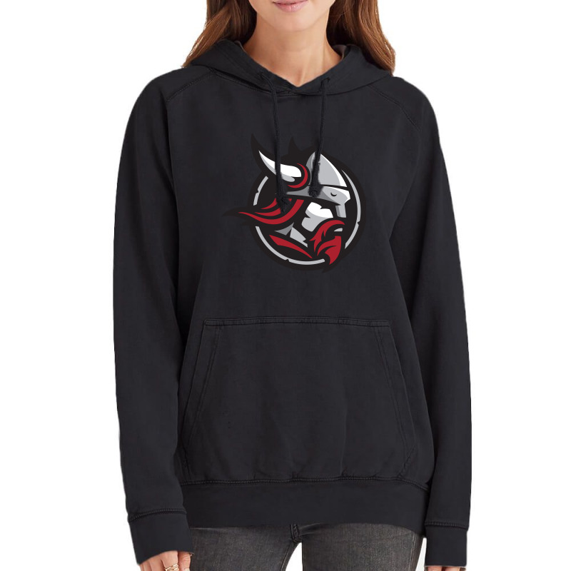 Bethany Vikings Vintage Hoodie | Artistshot