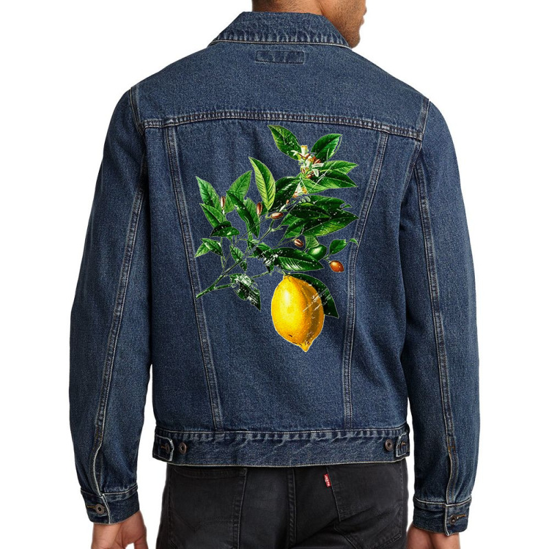 Lime Flower And Lemon, Lime Flower Lemon, Lemon, Lime Flower, Lime, Fl Men Denim Jacket | Artistshot