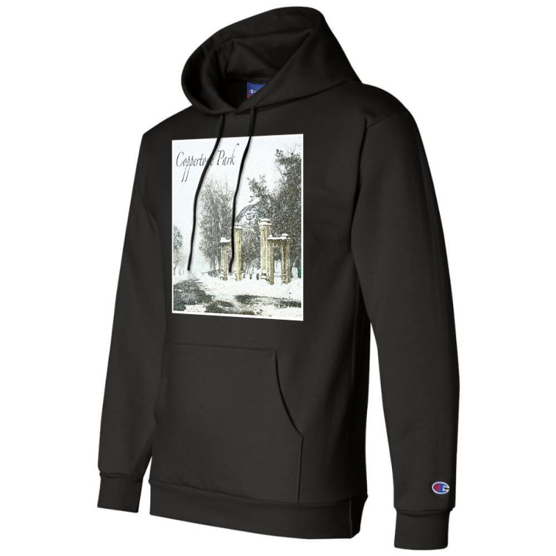 Coppertone Park Album Cover Champion Hoodie by CrystalCroft | Artistshot