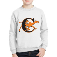 Campbell Fighting Camels Youth Sweatshirt | Artistshot