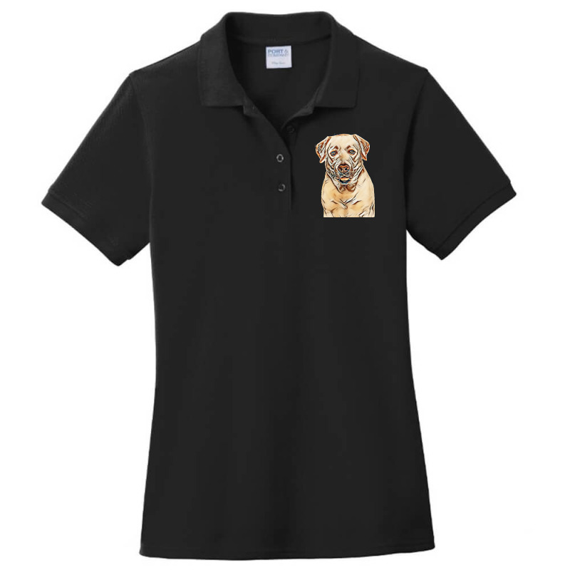 Labrador Retriever Dog On Isolated White Background In Studio Ladies Polo Shirt by Kemnabi | Artistshot