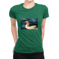 Gannet Swim Ladies Fitted T-shirt | Artistshot