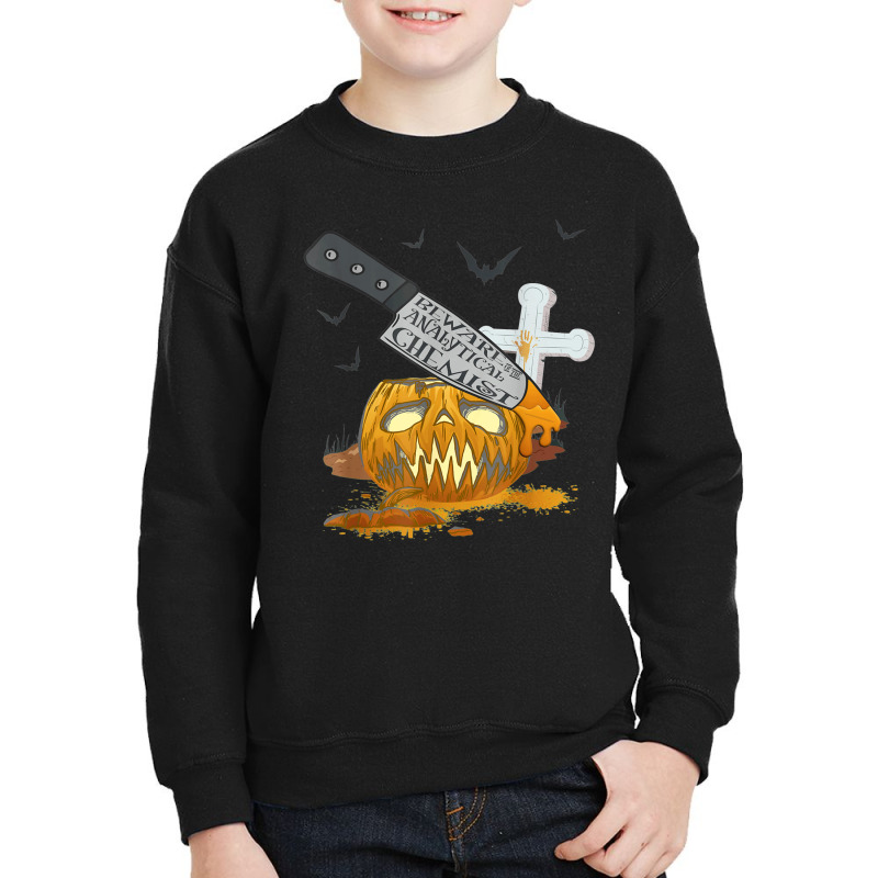 Analytical Chemist Funny Halloween Party Youth Sweatshirt by Newest | Artistshot