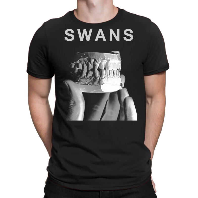 Swans, The Swans, Swans Art, Swans Vintage, Swans Painting, Swans Swan T-shirt | Artistshot