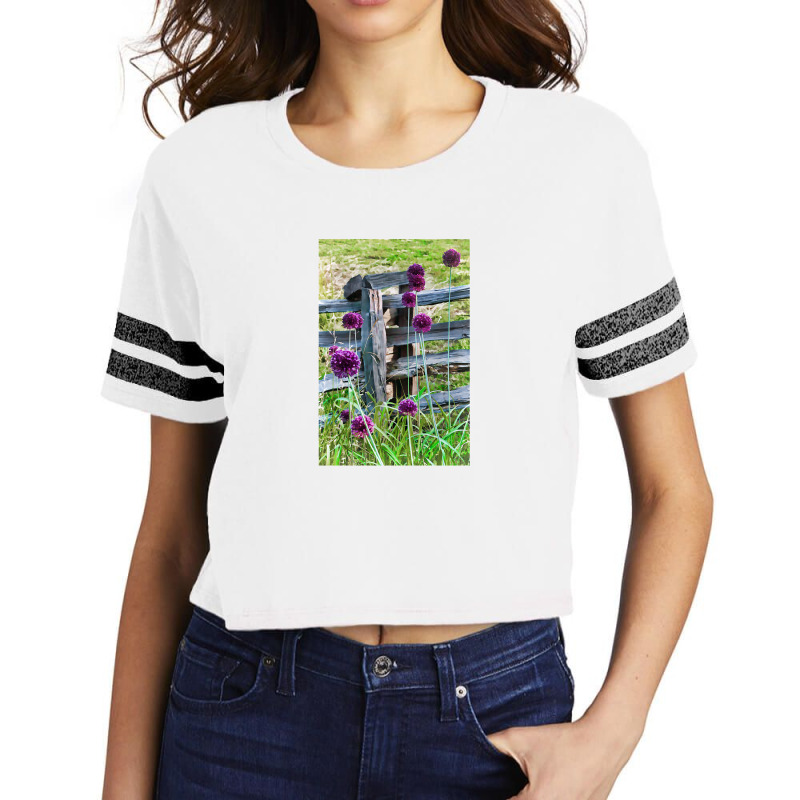 Yorktown Onions Scorecard Crop Tee by cm-arts | Artistshot