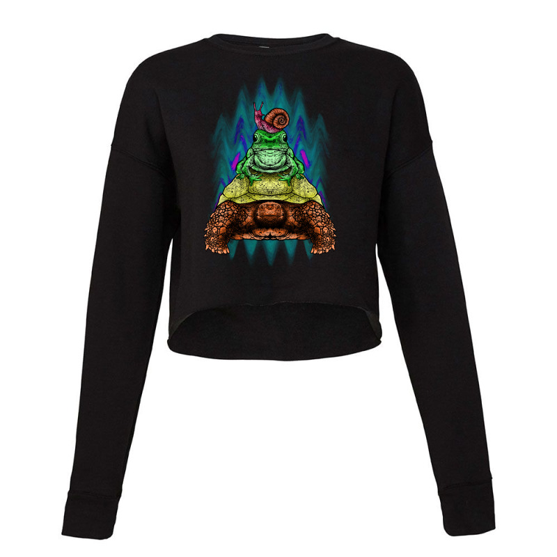 Turtle And Friends Cropped Sweater | Artistshot