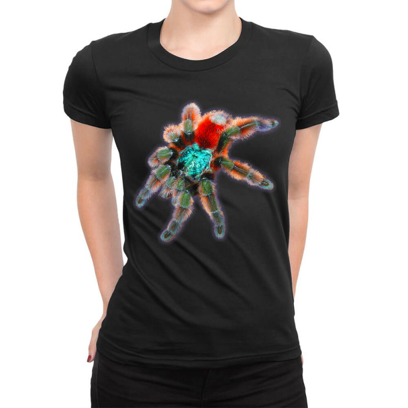 Tarantula Colorful Spider Antilles Pinktoes Ladies Fitted T-Shirt by RiekertAlennah | Artistshot