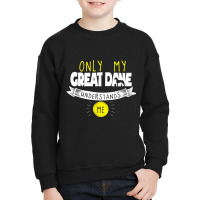 Great Dane T Shirt Only My Great Dane Understands Me Youth Sweatshirt | Artistshot