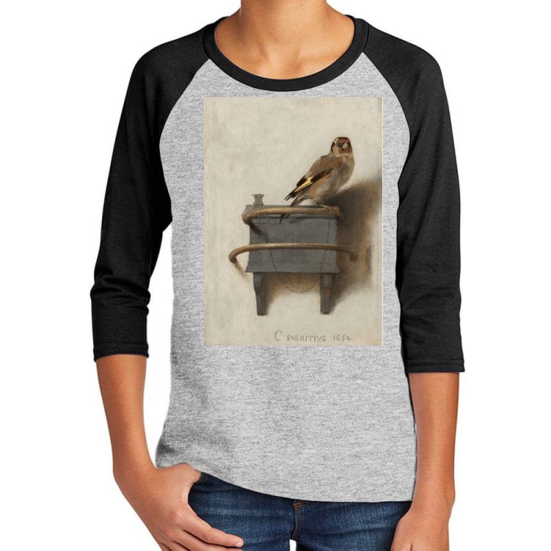 The Goldfinch, Carel Fabricius, The Goldfinch Art, The Goldfinch Vinta Youth 3/4 Sleeve by SHOPERTHIT | Artistshot