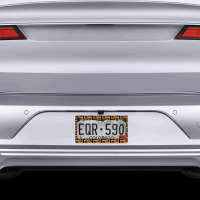 America Classic License Plate Frame | Artistshot