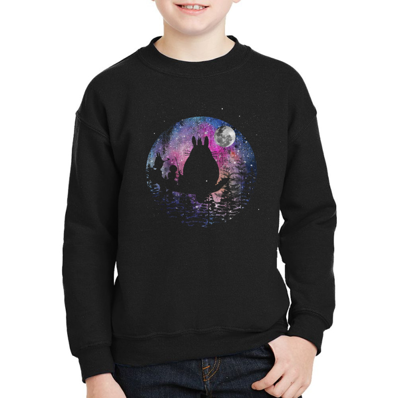 Totoro Galaxy Youth Sweatshirt by autlu2024 | Artistshot