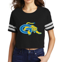 Cougars, Genesee (1) Scorecard Crop Tee | Artistshot